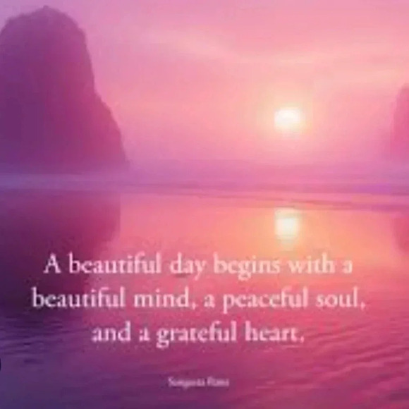 Studio jpr size medium mauve floral designer blouse - Picture 16 of 16